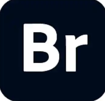 Adobe Bridge 2025 正式破解一键安装版 Win